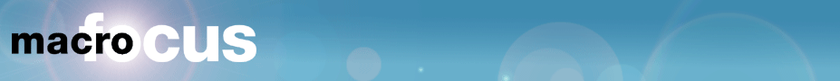 header header