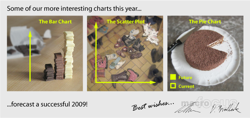 We wish you a successful 2009!